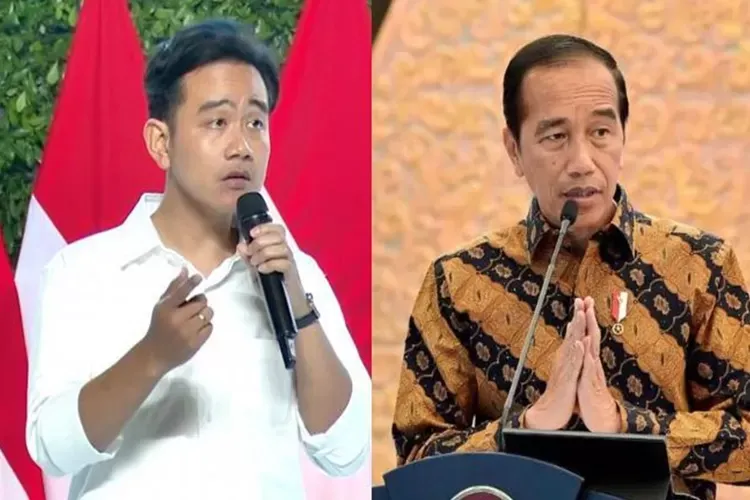 Jokowi Tanggapi Santai Usulan Purnawirawan TNI Copot Gibran: Demokrasi Bolehkan Aspirasi