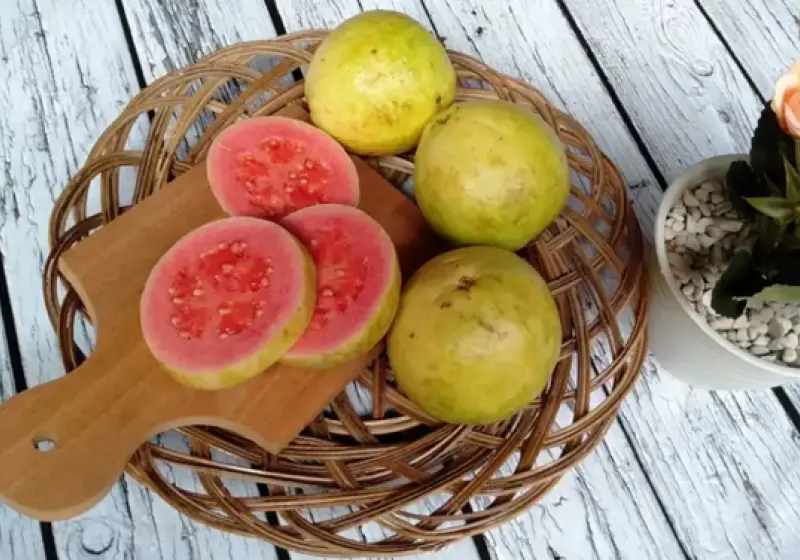 10 Manfaat Jambu Biji untuk Kesehatan yang Jarang Diketahui