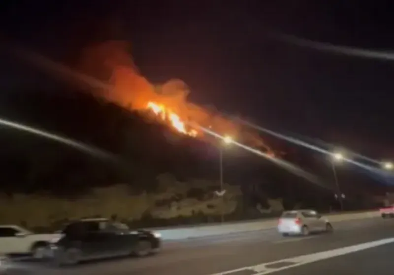 Kebakaran Hebat Landa Israel: 2.500 Hektare Lahan Terbakar, Ribuan Warga Dievakuasi, Militer Dikerahkan