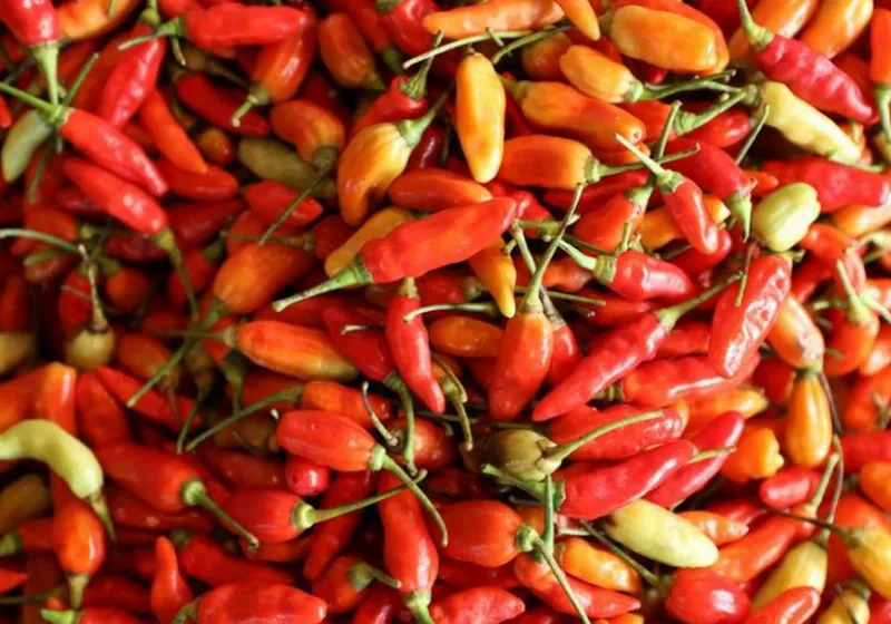 Terungkap! Fluktuasi Harga Cabai Rawit Merah Terkini di Indonesia: Analisis Penyebab dan Dampaknya 2025